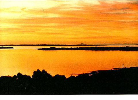 Island View Spa Cottage - Accommodation Mount Tamborine 9