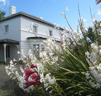 The Grove Cottages - Accommodation Mount Tamborine