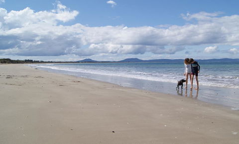 Nine Mile Escape - Accommodation Mount Tamborine 2