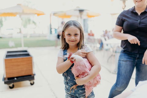 North Gregory Hotel - Accommodation Mount Tamborine 2