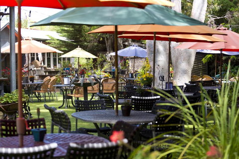 Oakdene Vineyards Guesthouse - Accommodation Mount Tamborine 0