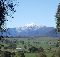 Off Mountain Accommodation - Accommodation Mount Tamborine