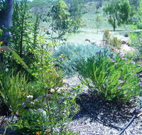 Old Miners' Cottages Bed and Breakfast - Accommodation Mount Tamborine