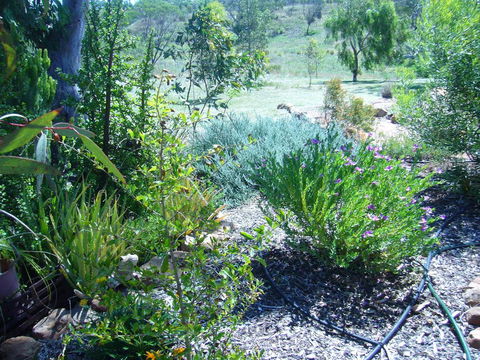 Old Miners' Cottages Bed And Breakfast - Accommodation Mount Tamborine 0