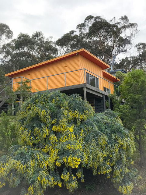 Otway Blue - Accommodation Mount Tamborine 3