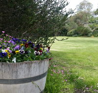 Padthaway Caravan Park - Accommodation Mount Tamborine