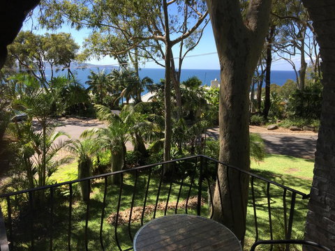 Palm Beach Bed & Breakfast - Accommodation Mount Tamborine 3
