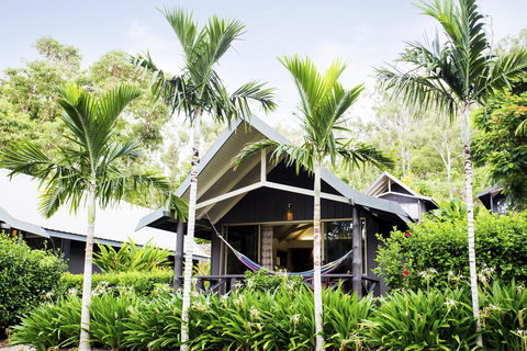 Palm Bungalows - Accommodation Mount Tamborine 0