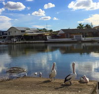 Pelican Cove Apartments - Accommodation Mount Tamborine