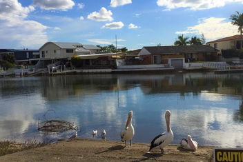 Pelican Cove Apartments with Accommodation Mount Tamborine