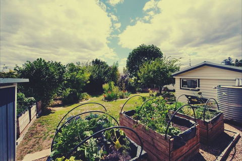 Penny Farthing Daylesford - Accommodation Mount Tamborine 2