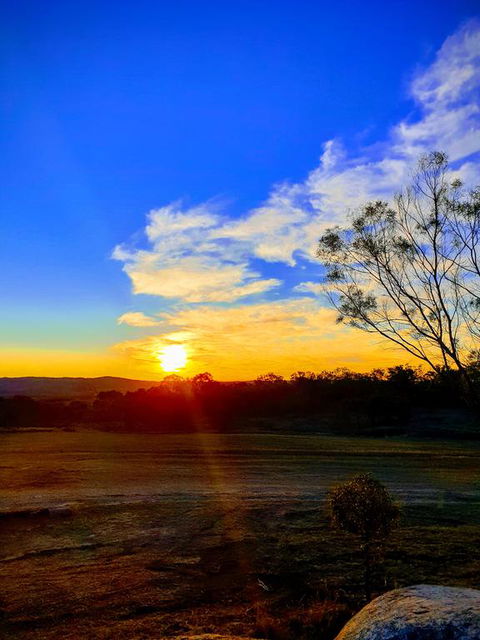 R & R On The Ravine - Accommodation Mount Tamborine 3