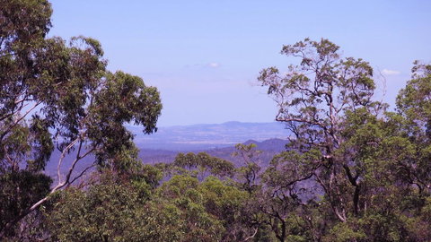 Ravensbourne Escape - Cedar Lodge - Accommodation Mount Tamborine 0