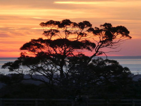 Red Hill Ridge - Accommodation Mount Tamborine 1