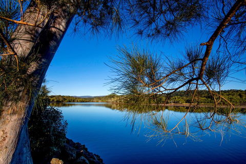 Reflections Holiday Parks Ferry Reserve - Accommodation Mount Tamborine 3
