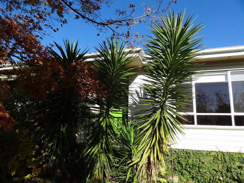 Retro Retreat - Accommodation Mount Tamborine 2