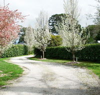 Robin Hill Manor - rambling retreat  tennis court - Accommodation Mount Tamborine
