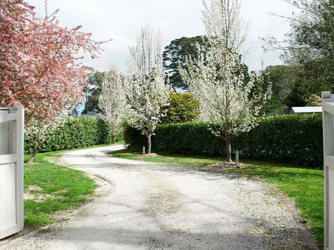 Robin Hill Manor - Rambling Retreat & Tennis Court - Accommodation Mount Tamborine 0
