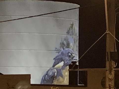 Rochester Wine Tavern - Accommodation Mount Tamborine 1