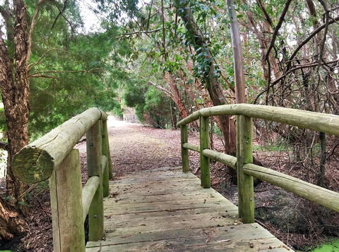 Ruby Rose - Accommodation Mount Tamborine 2