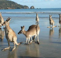 Seaforth Holiday Units - Accommodation Mount Tamborine