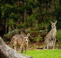 Secura Lifestyle Countryside Kalaru - Accommodation Mount Tamborine