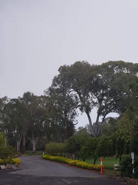 Seymour Motel - Accommodation Mount Tamborine 3