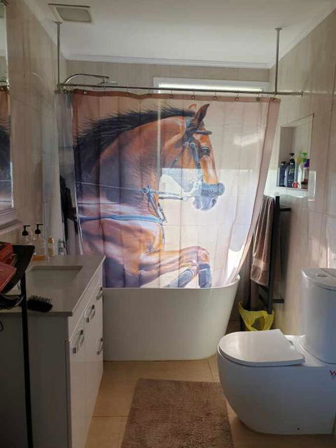 Silverbirch Cottage - Accommodation Mount Tamborine 3