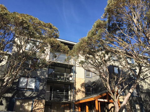 Snowflake 12 - Accommodation Mount Tamborine 0