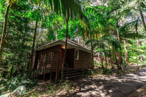 Songbirds Rainforest Retreat - Accommodation Mount Tamborine 2