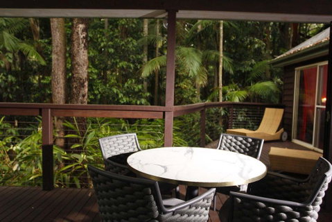 Songbirds Rainforest Retreat - Accommodation Mount Tamborine 1
