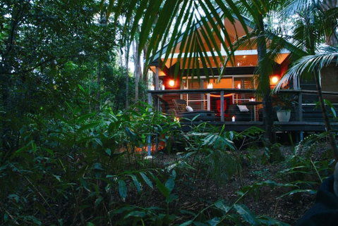 Songbirds Rainforest Retreat - Accommodation Mount Tamborine 0