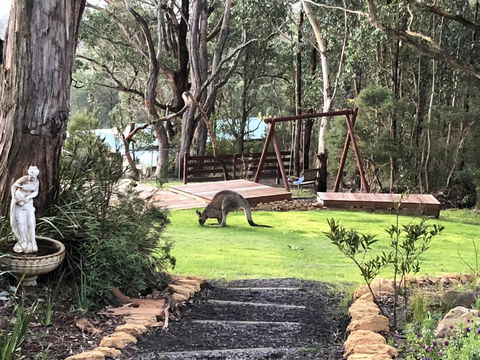 Southern Anchorage Retreat - Accommodation Mount Tamborine 3