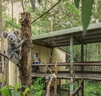 Springwood Meditation Centre - Accommodation Mount Tamborine