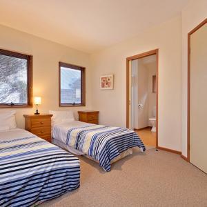 Square Bear-DPA - Accommodation Mount Tamborine 3