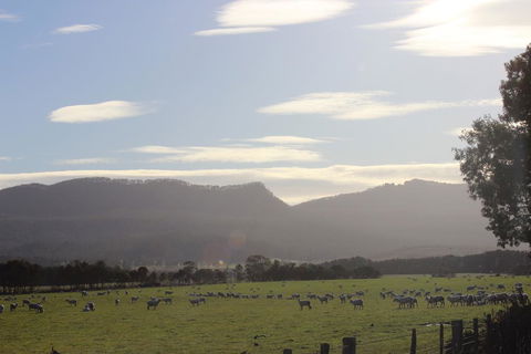 St Marys Hotel And Bistro - Accommodation Mount Tamborine 3