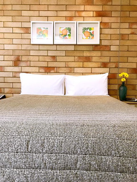 Starlight Motor Inn - Accommodation Mount Tamborine 3