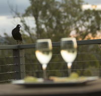 Stockton Rise Country Retreats - Accommodation Mount Tamborine