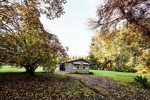Tarkinegrove - Accommodation Mount Tamborine 1