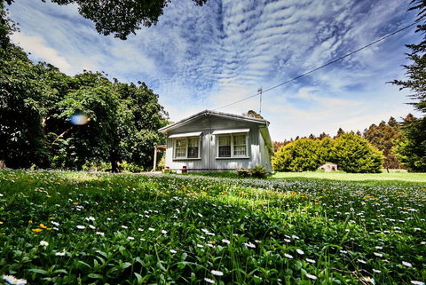 Tarkinegrove - Accommodation Mount Tamborine 0