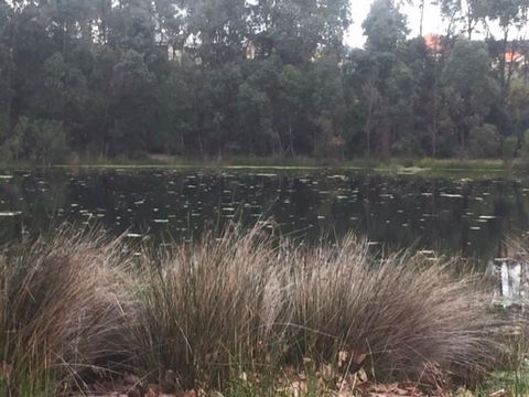 Telperon (2 Rooms, 3-4 Guests) - Accommodation Mount Tamborine 2