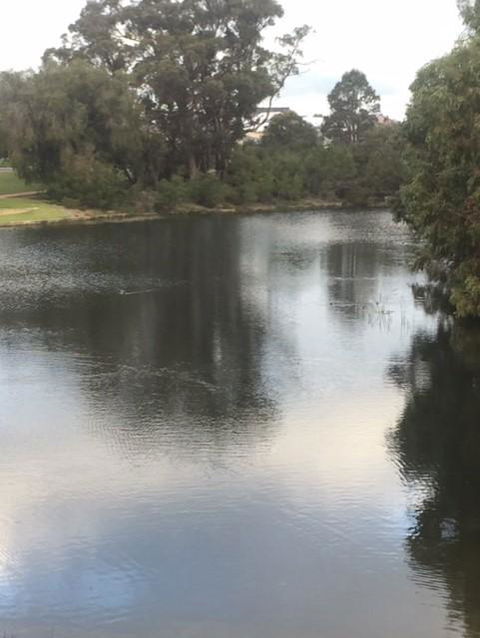Telperon (2 Rooms, 3-4 Guests) - Accommodation Mount Tamborine 3