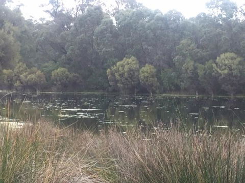 Telperon (2 Rooms, 3-4 Guests) - Accommodation Mount Tamborine 1