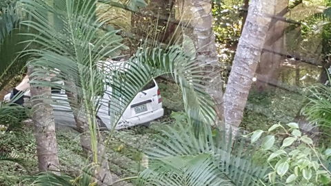 The Beach Place - Accommodation Mount Tamborine 1