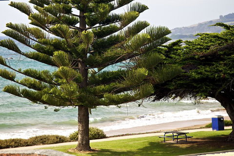 Penguin Beachfront Apartments - Accommodation Mount Tamborine 9