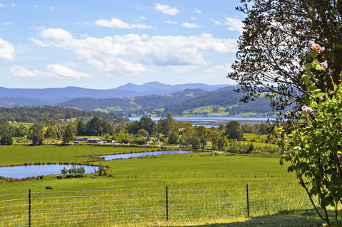 Birch Lane - Accommodation Mount Tamborine 7
