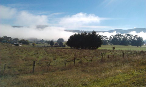 Birch Lane - Accommodation Mount Tamborine 30