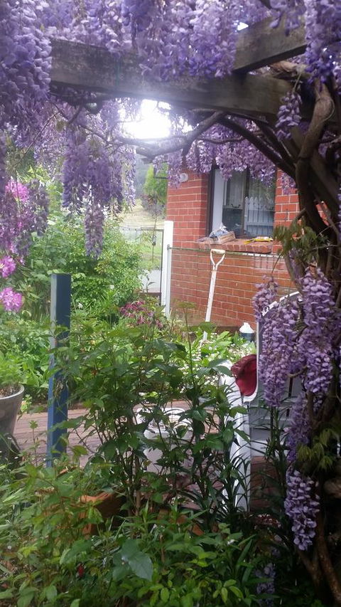 Birch Lane - Accommodation Mount Tamborine 41
