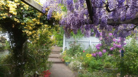 Birch Lane - Accommodation Mount Tamborine 20