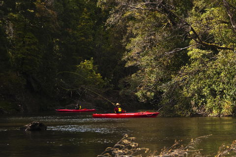 Corinna Wilderness Village - Accommodation Mount Tamborine 38